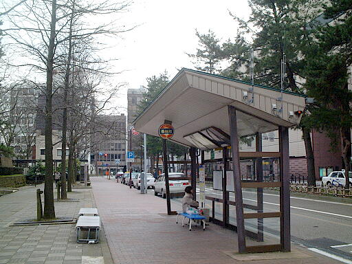 �k�ӂ���ƍޖ؁l���іV�E��Βʂ�̎ʐ^(1)�i/gazo512/bus-030315/kohrinbo2-4126a.jpg�j