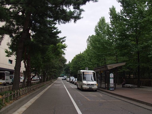 �k�ӂ���ƍޖ؁l���іV�E��Βʂ�̎ʐ^(2)�i/gazo512/bus-040904/fzaim-kohrinbo-9041198b.jpg�j