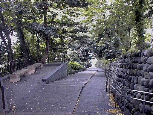 ��掛��̎ʐ^(1)�i/gazo512/gazo010701/daijoji-saka028.jpg�j
