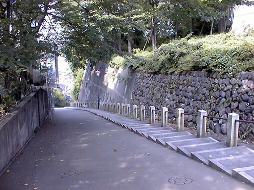 ����̎ʐ^(2)�i/gazo512/gazo010728/ya-saka022.jpg�j