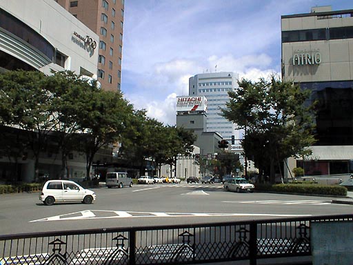 ���іV�̎ʐ^(1)�i/gazo512/gazo010805/kohrinbo021.jpg�j