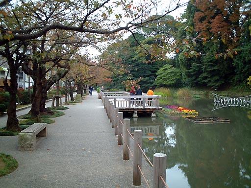 �������x�̎ʐ^(1)�i/gazo512/gazo011103/jo-otebori052.jpg�j