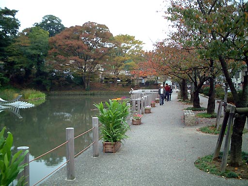 �������x�̎ʐ^(2)�i/gazo512/gazo011103/jo-otebori054.jpg�j