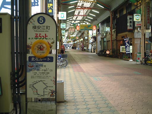 �����]���̎ʐ^(8)�i/gazo512/gazo011103/yokoyasue048.jpg�j