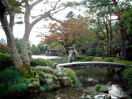 �J�f���U�̎ʐ^(3)�i/gazo512/gazo011110/ken-kotoji081.jpg�j