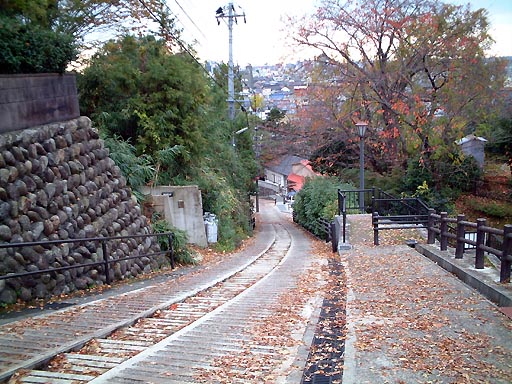 �q����̎ʐ^(3)�i/gazo512/gazo011118/kogi-saka060.jpg�j