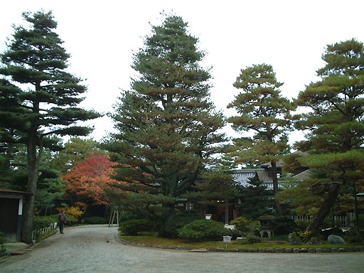 ���F�t�̎ʐ^(4)�i/gazo512/gazo011118/seisonkaku012.jpg�j