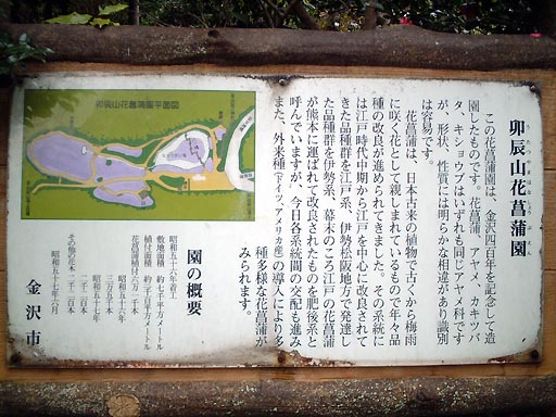 �K�C�R�@�ԏҊ����̎ʐ^(7)�i/gazo512/gazo011118/utatsu-shobu044.jpg�j