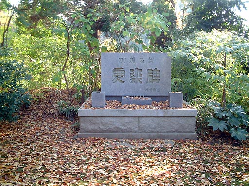 �������i�������j�̎ʐ^(3)�i/gazo512/gazo011123/ryukokuji205.jpg�j
