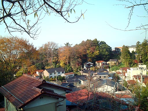 �������i�������j�̎ʐ^(6)�i/gazo512/gazo011123/ryukokuji218.jpg�j