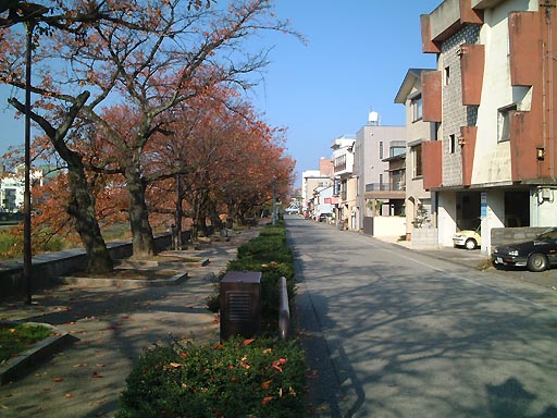 �Ґ��݂̂��̎ʐ^(8)�i/gazo512/gazo011123/saiseinomichi050.jpg�j