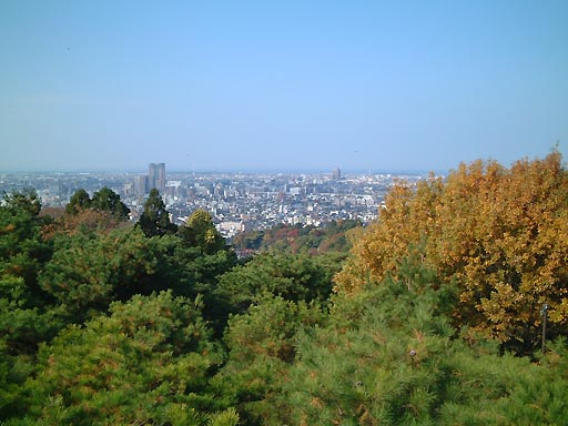 �K�C�R�@�]�Α�̎ʐ^(5)�i/gazo512/gazo011123/tenbo-bokodai126.jpg�j