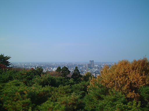 �K�C�R�@�]�Α�̎ʐ^(6)�i/gazo512/gazo011123/tenbo-bokodai128.jpg�j