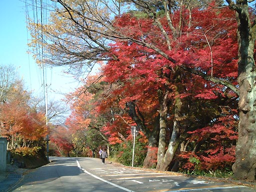 �K�C�R�������̎ʐ^(3)�i/gazo512/gazo011123/utatsu-koensen150.jpg�j