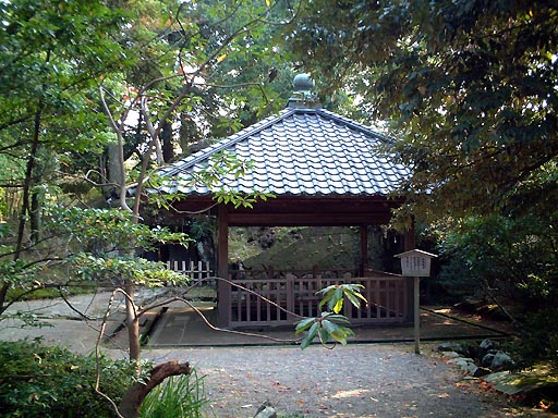 ������̎ʐ^(5)�i/gazo512/gazo011125/ken-kinjoreitaku023.jpg�j