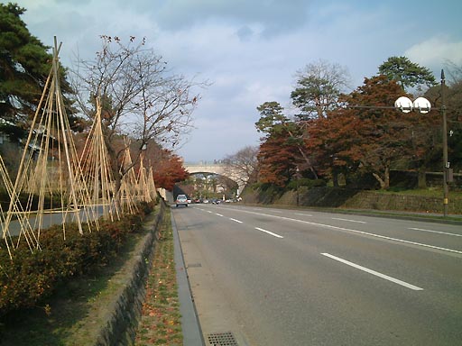 �̎ʐ^(2)�i/gazo512/gazo011125/ohoridori100.jpg�j