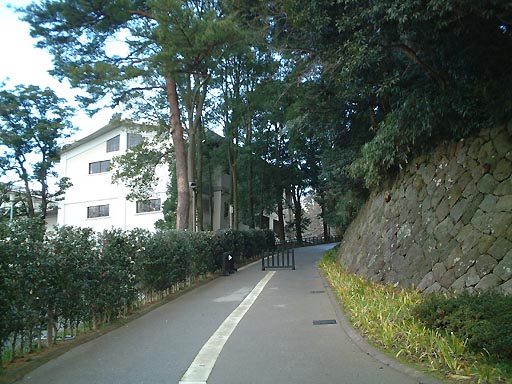 �������̎ʐ^(1)�i/gazo512/gazo011223/jo-imori005.jpg�j