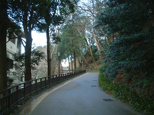 �������̎ʐ^(3)�i/gazo512/gazo011223/jo-imori007.jpg�j