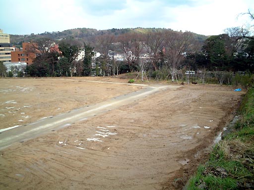 �V�ۍL��̎ʐ^(5)�i/gazo512/gazo011223/jo-shinmaru124.jpg�j
