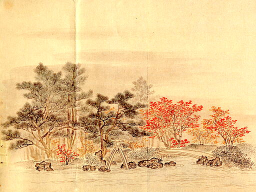 �J�f���U�̎ʐ^(8)�i/gazo512/gazo020000/ken-kotoji0001.jpg�j