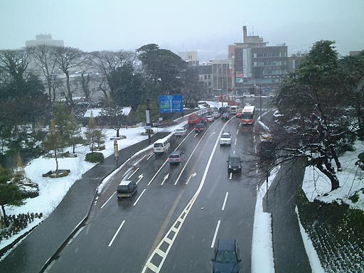 �̎ʐ^(5)�i/gazo512/gazo020106/ohoridori077.jpg�j