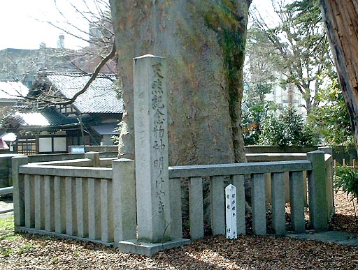 �_���{�̎ʐ^(3)�i/gazo512/gazo020316/shimmyogu003.jpg�j