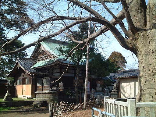 �_���{�̎ʐ^(4)�i/gazo512/gazo020316/shimmyogu004.jpg�j