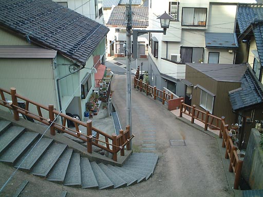�n��̎ʐ^(2)�i/gazo512/gazo020316/uma-saka100.jpg�j