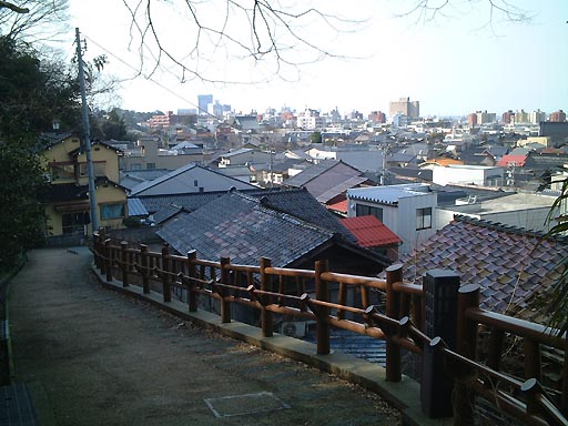 �n��̎ʐ^(3)�i/gazo512/gazo020316/uma-saka102.jpg�j