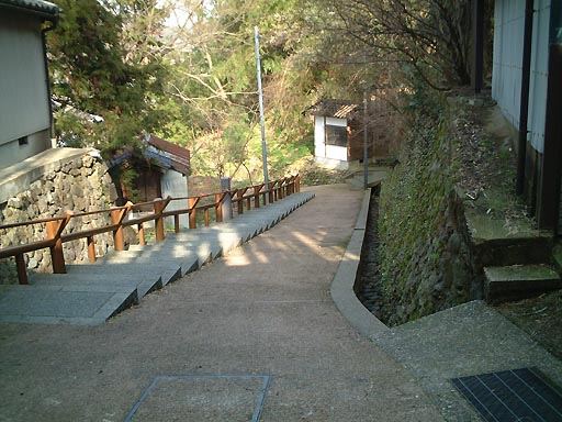 �n��̎ʐ^(5)�i/gazo512/gazo020316/uma-saka113.jpg�j