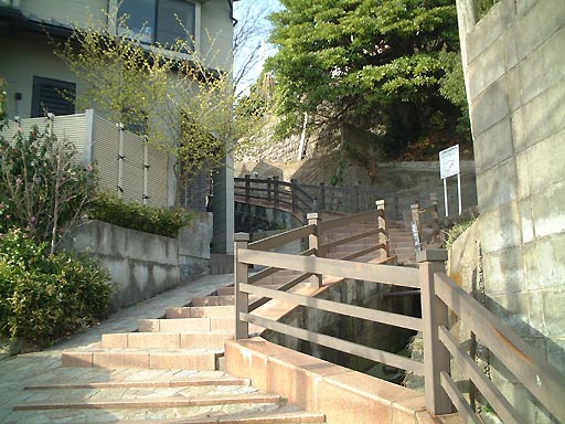 �ō�̎ʐ^(2)�i/gazo512/gazo020316/yome-saka159.jpg�j