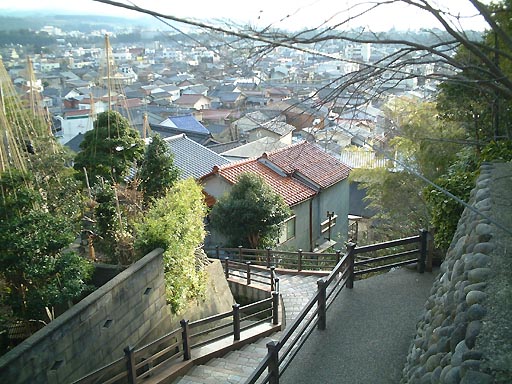 �ō�̎ʐ^(4)�i/gazo512/gazo020316/yome-saka162.jpg�j