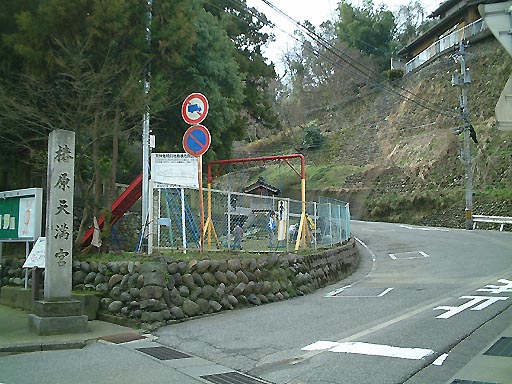 �֌��V���{�̎ʐ^(1)�i/gazo512/gazo020317/tsubakihara094.jpg�j