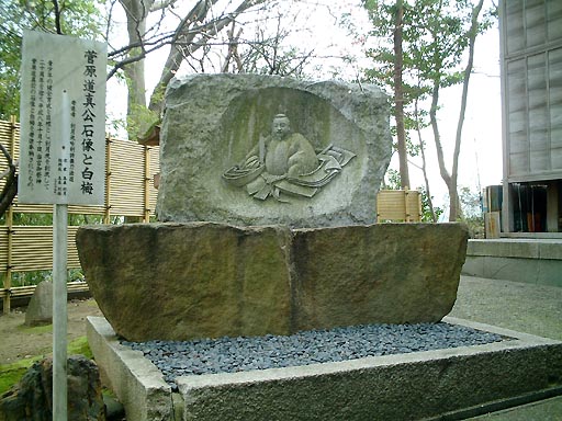 �֌��V���{�̎ʐ^(4)�i/gazo512/gazo020317/tsubakihara103.jpg�j