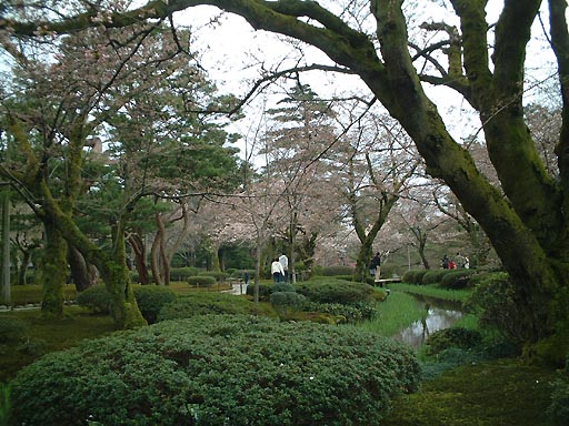�Ȑ��E�C���p���̎ʐ^(6)�i/gazo512/gazo020330/ken-kyokusui046.jpg�j
