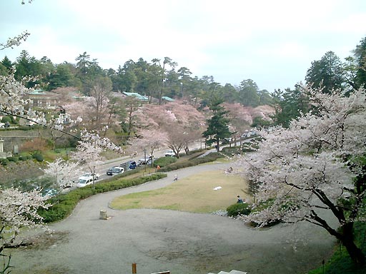 �̎ʐ^(8)�i/gazo512/gazo020330/ohoridori033.jpg�j