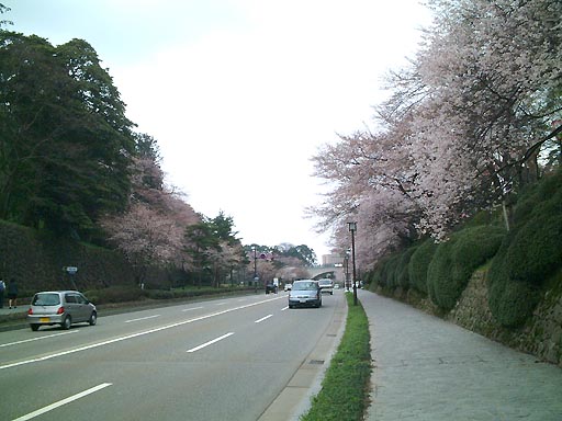 �̎ʐ^(3)�i/gazo512/gazo020330/ohoridori078.jpg�j