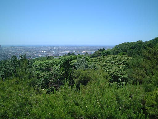 �K�C�R�@�]�Α�̎ʐ^(1)�i/gazo512/gazo020601/tenbo-bokodai051.jpg�j