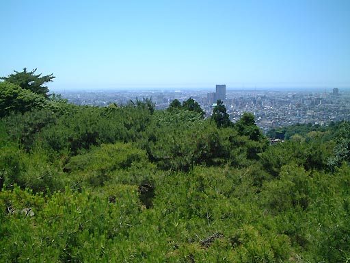 �K�C�R�@�]�Α�̎ʐ^(2)�i/gazo512/gazo020601/tenbo-bokodai052.jpg�j