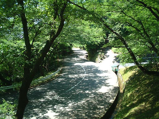 �K�C�R�������̎ʐ^(5)�i/gazo512/gazo020601/utatsu-koensen026.jpg�j