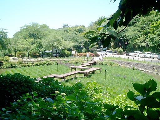 �K�C�R�@�ԏҊ����̎ʐ^(4)�i/gazo512/gazo020601/utatsu-shobu015.jpg�j