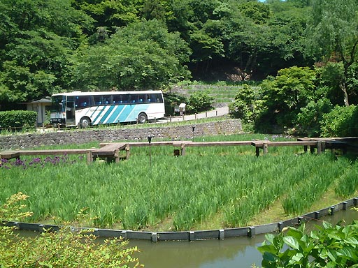 �K�C�R�@�ԏҊ����̎ʐ^(5)�i/gazo512/gazo020601/utatsu-shobu017.jpg�j