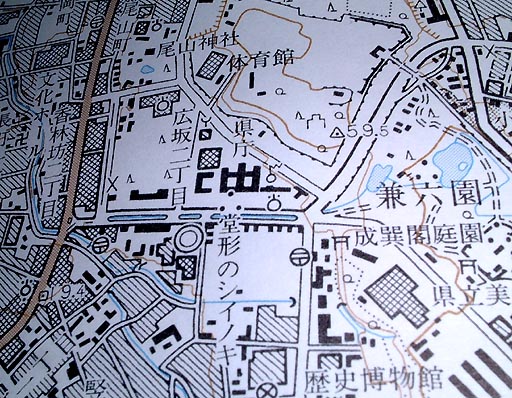 ���`�̃V�C�̖؂̎ʐ^(5)�i/gazo512/gazo020607/shiinoki162.jpg�j