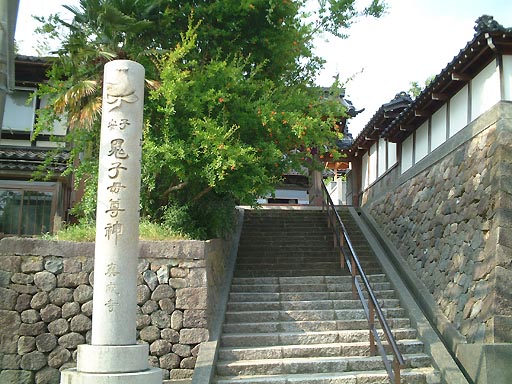 �l�`�̎��E�^�����̎ʐ^(2)�i/gazo512/gazo020608/shinjoji114.jpg�j