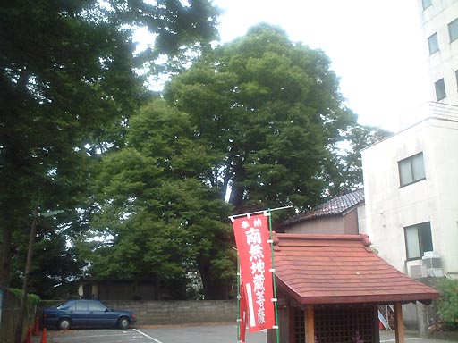 �_���{�̎ʐ^(7)�i/gazo512/gazo020914/shimmyogu216.jpg�j