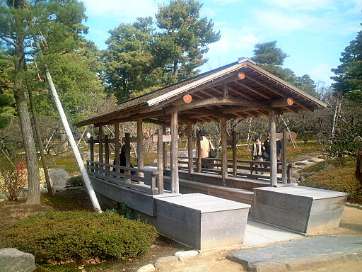 �D�̌���̎ʐ^(1)�i/gazo512/gazo021124/ken-funanoochin685.jpg�j