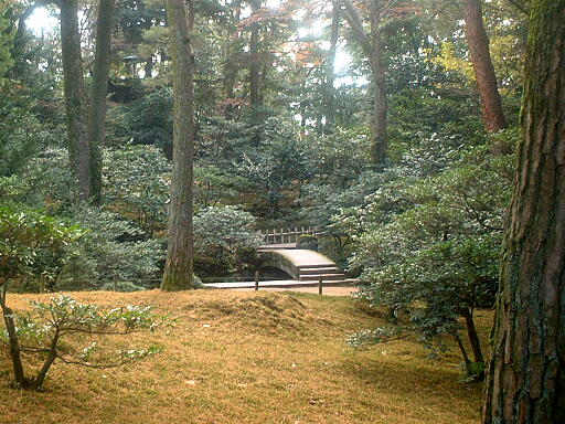 ���勴�̎ʐ^(3)�i/gazo512/gazo021124/ken-komonbashi714.jpg�j