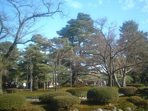 ���㏼�̎ʐ^(4)�i/gazo512/gazo021124/ken-neagarinomatsu579.jpg�j