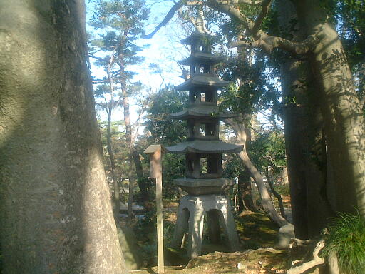 �䎺�̓��̎ʐ^(1)�i/gazo512/gazo021124/ken-omuronoto533.jpg�j