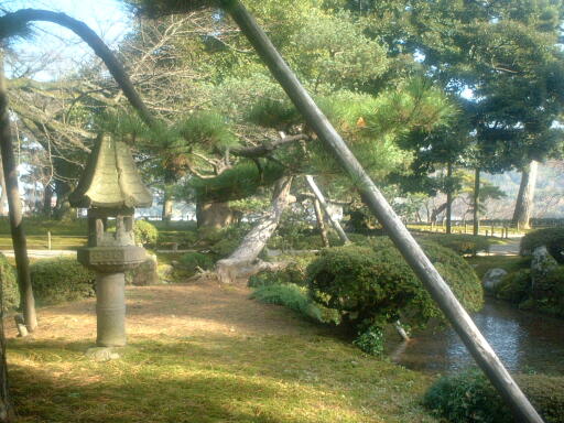 �@�؎��^���U�̎ʐ^(3)�i/gazo512/gazo021124/ken-rengejitoro558.jpg�j